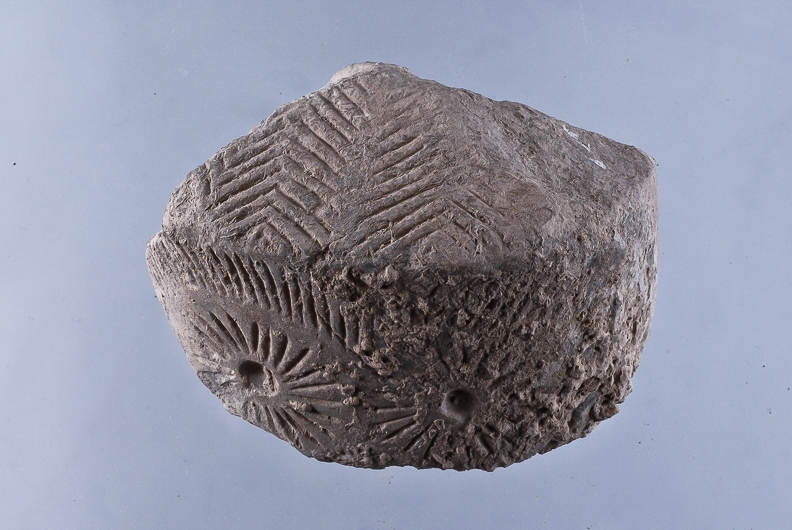 51 Icono (Valencina, Sevilla)